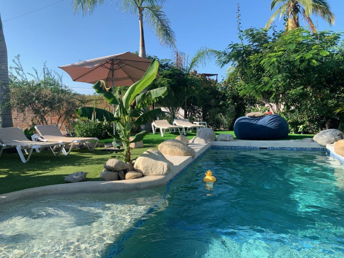 Tropical Oasis Apartment San Jose del Cabo