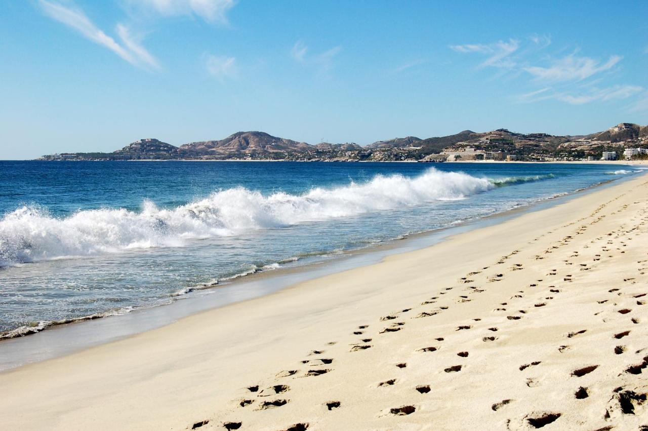Tropical Oasis * San Jose del Cabo