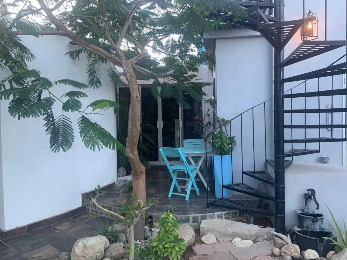 Tropical Oasis *