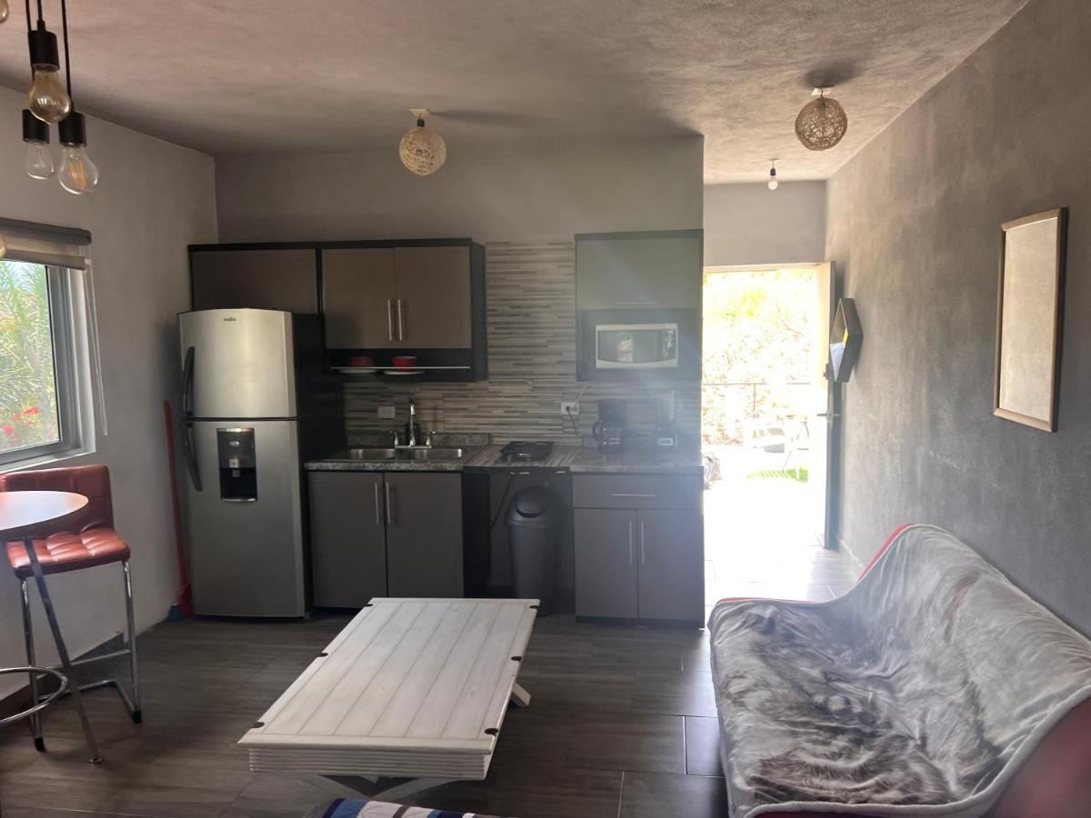 Tropical Oasis Apartment San Jose del Cabo