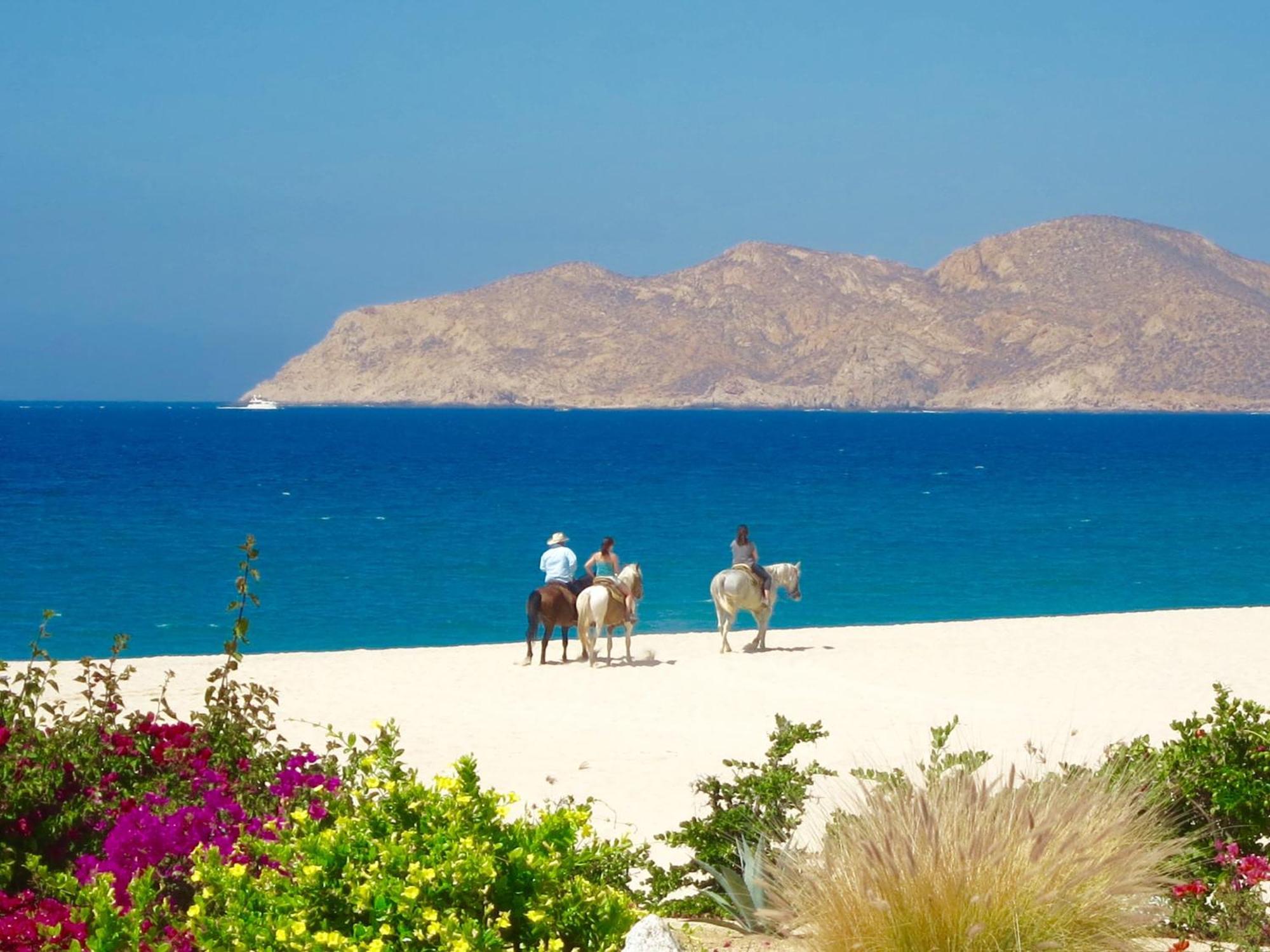 Beachfront In Cabos, Mexico San Jose del Cabo