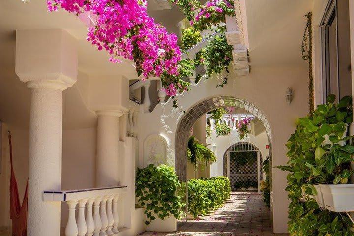 Mar Del Cabo By Velas Hotel San José del Cabo