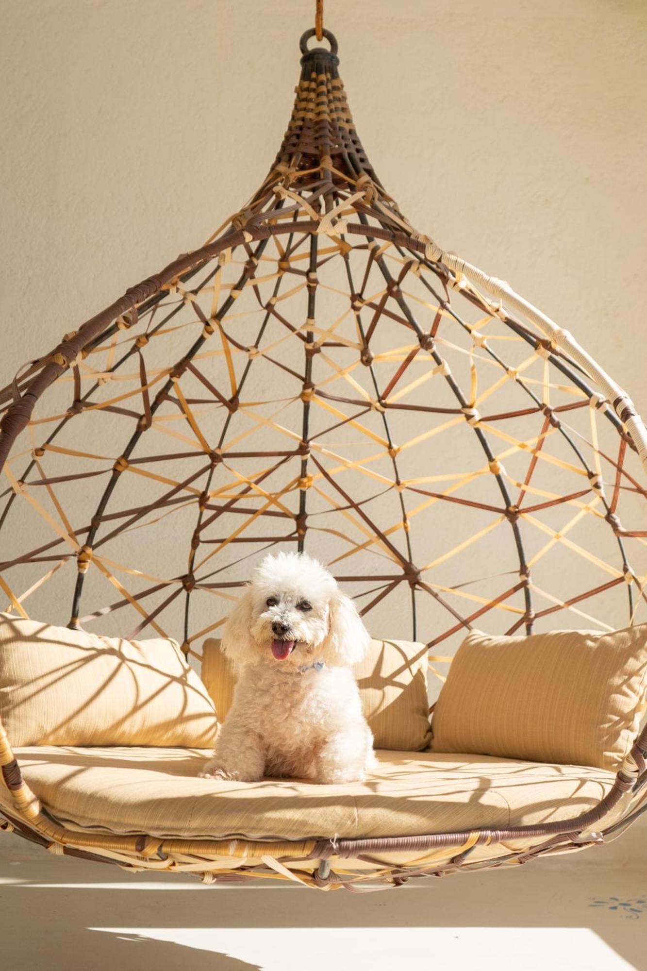 Mar Del Cabo By Velas Hotel 4*