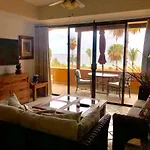 Dorado 305