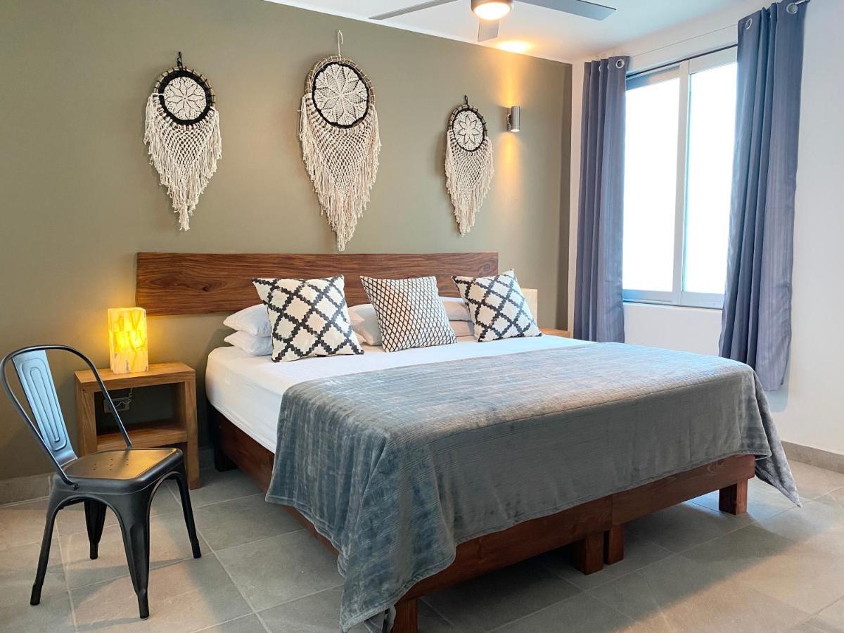Cabo Nest * San Jose del Cabo