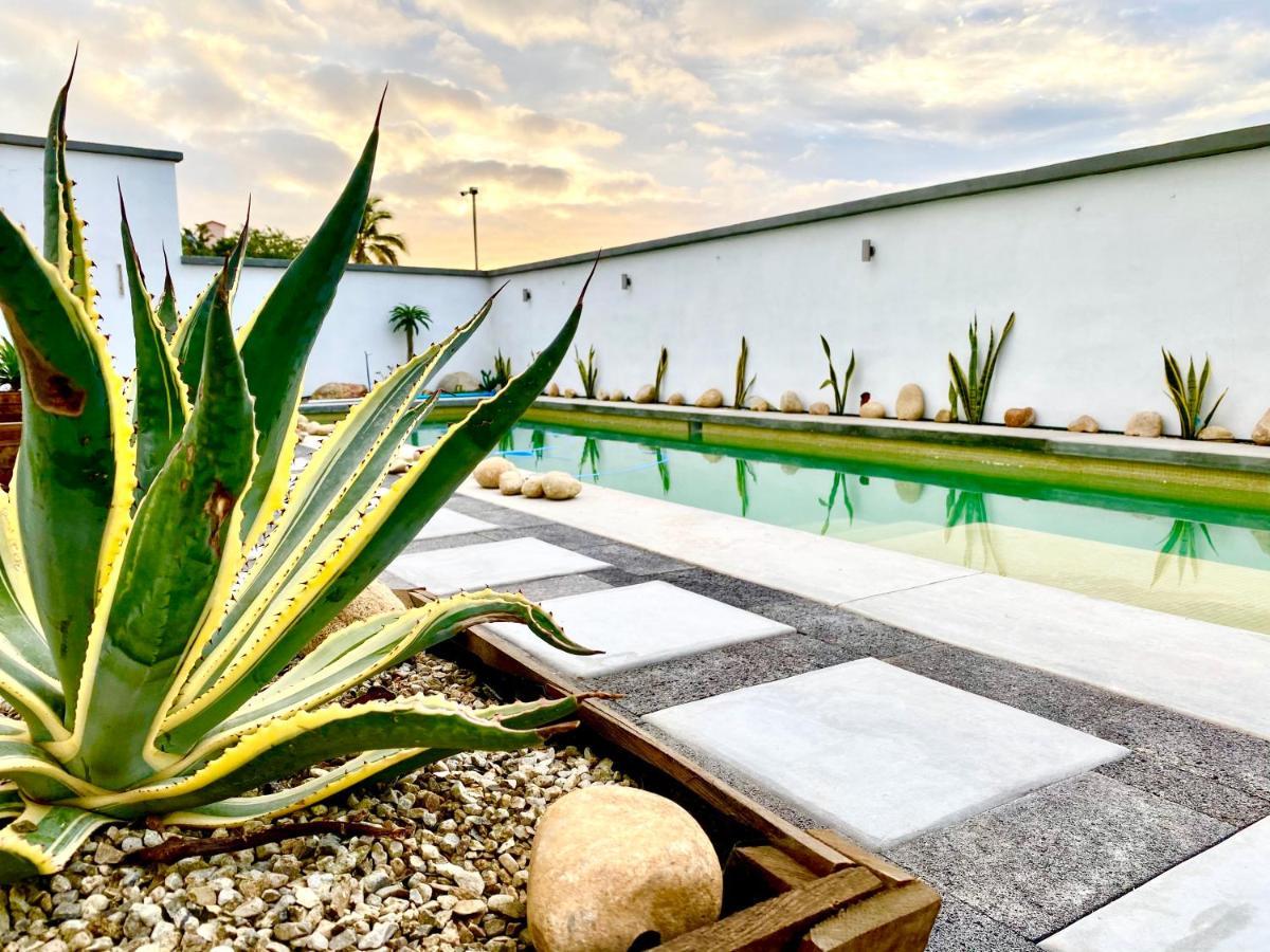 Cabo Nest San Jose del Cabo