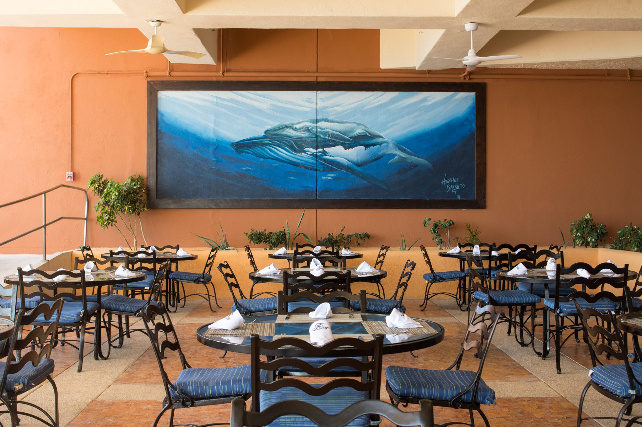 Club Regina Cabos Hotel San Jose del Cabo