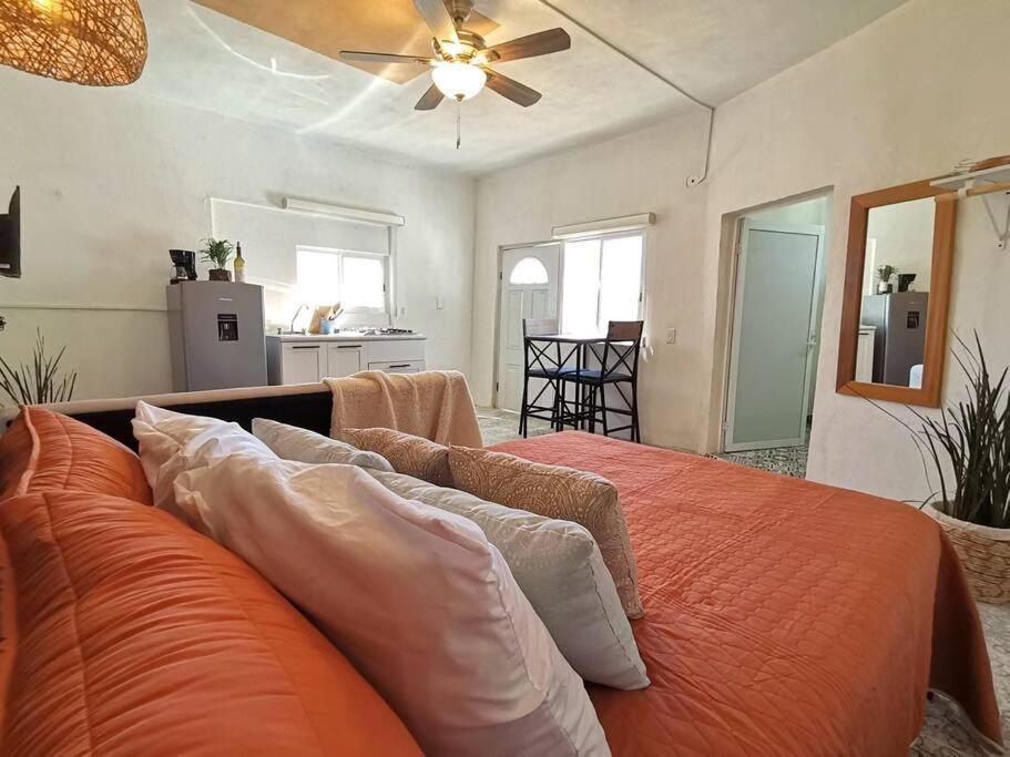 Casa Estrella Azul San Jose del Cabo