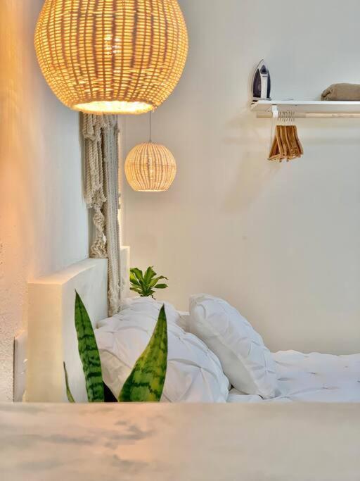 Apartment Casa Anuiti Centrica Ubicacion. San Jose del Cabo