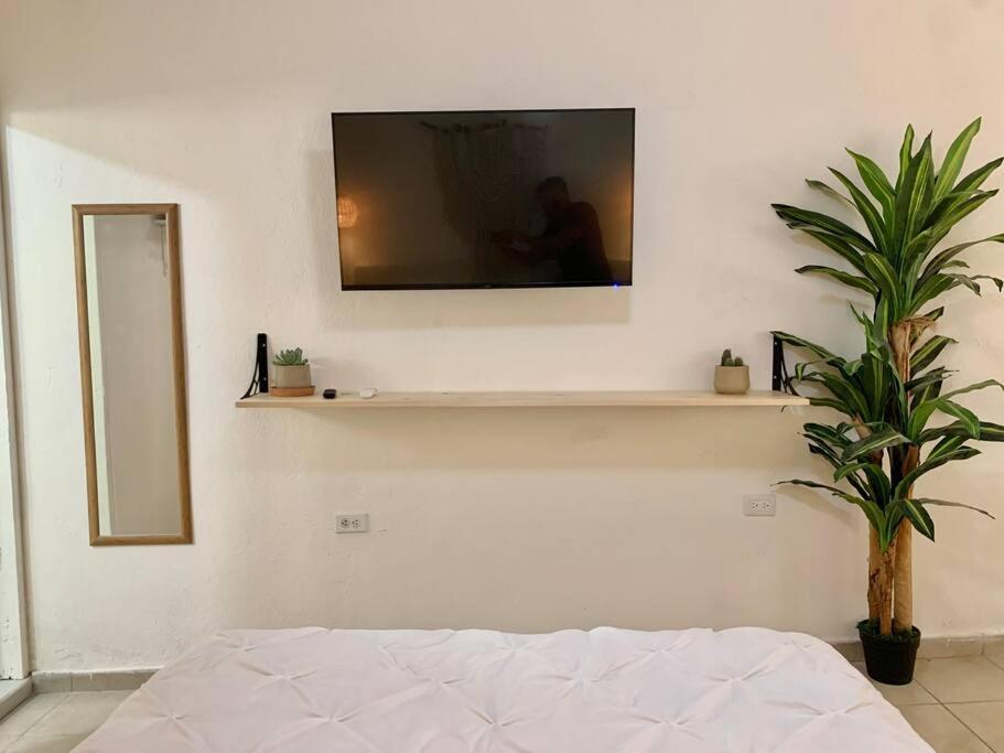 Casa Anuiti Centrica Ubicacion. Apartment *