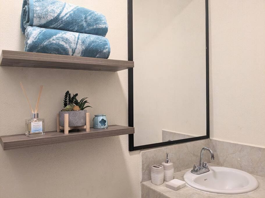 Estudio Balandra Cerca Del Aeropuerto Sjd Apartment *