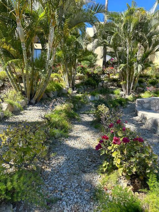 Apartment Laguna Vista Down Town San Jose San Jose del Cabo