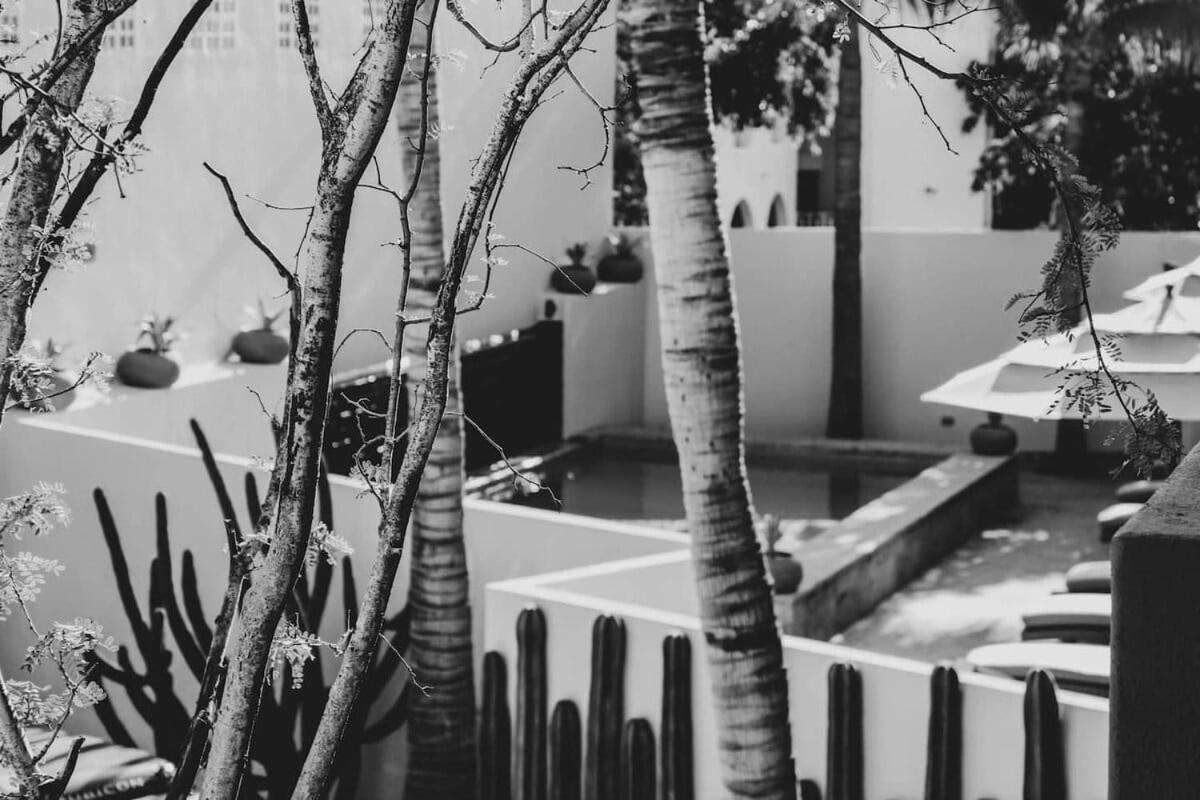 3 Incredible King In Boutique San Jose del Cabo