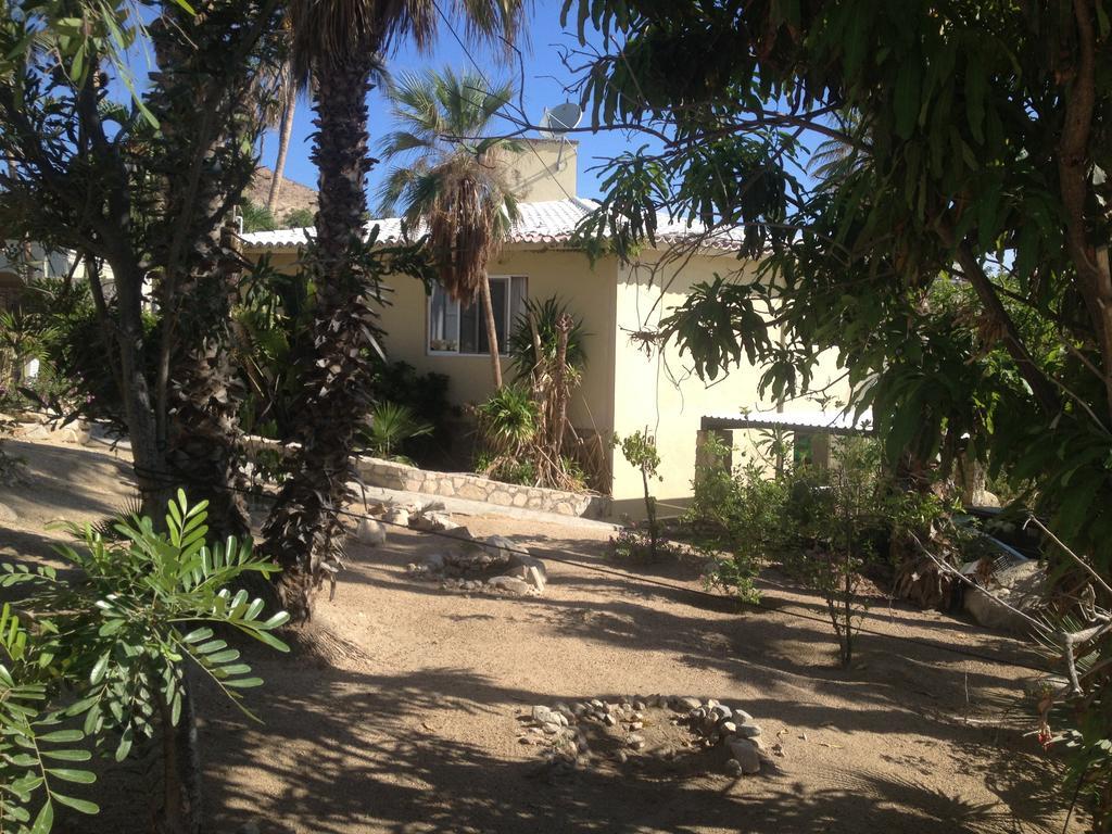 Surfer's Paradise, Yoga&food Garden@costa Azul, Cabos Homestay San Jose del Cabo
