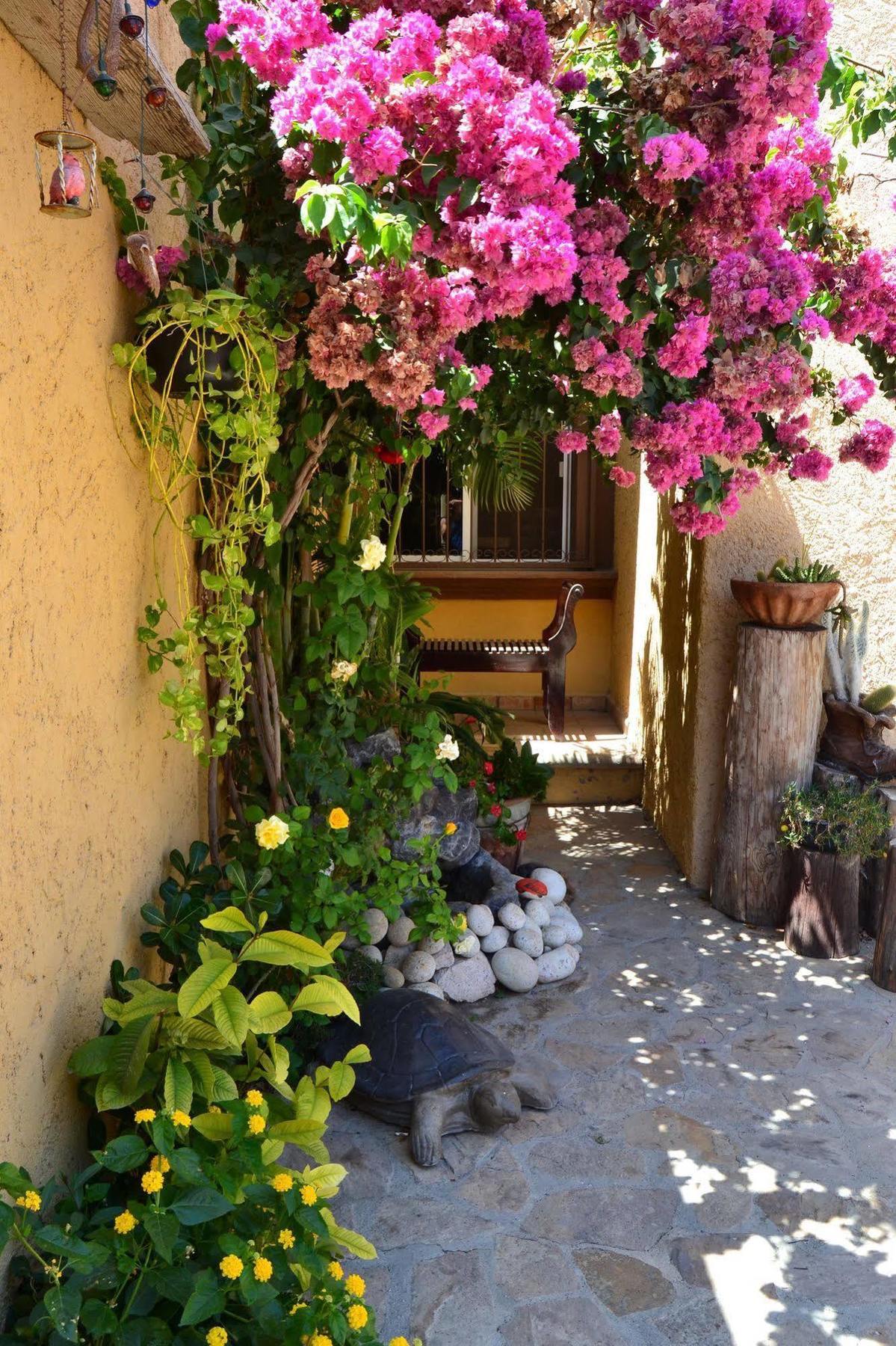 Hotel Casa Diva
