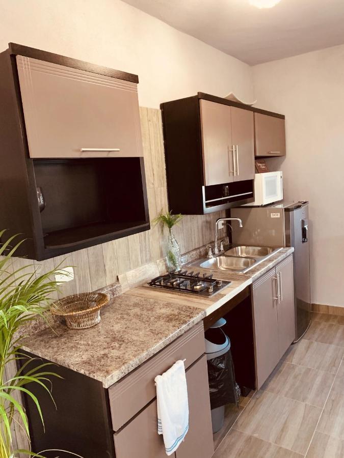 Apartment Tropical Oasis *