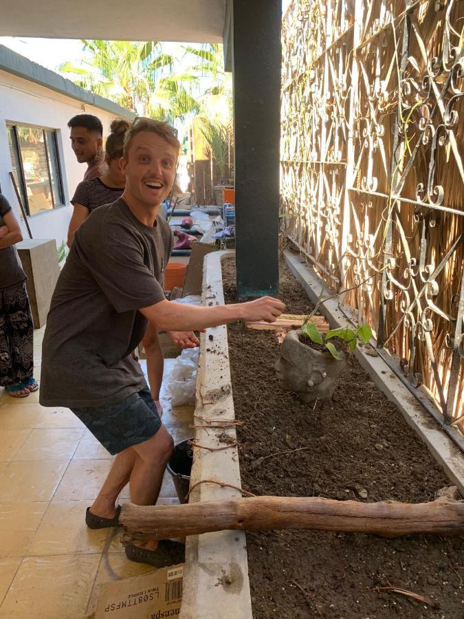 Hostel Desert Heart San Jose del Cabo