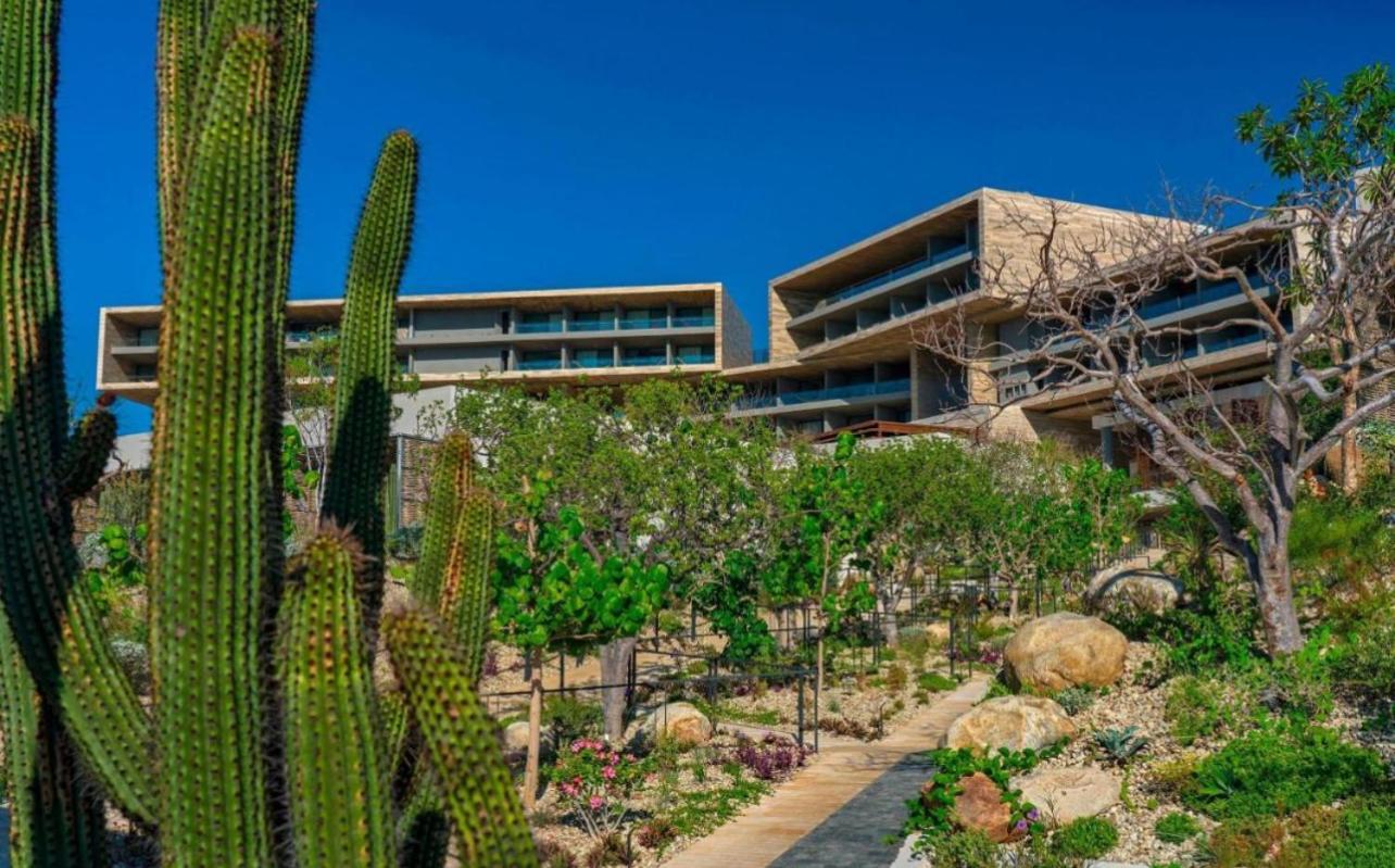 Solaz, A Luxury Collection Resort, Cabos Hotel San Jose del Cabo
