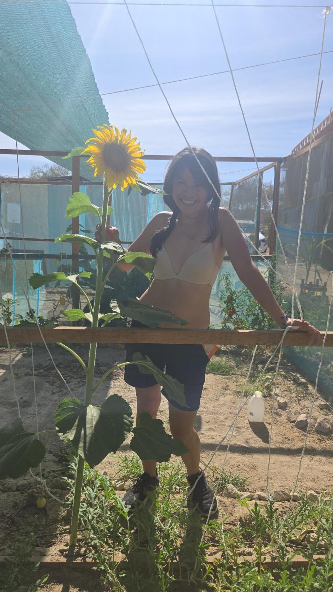 Con Huerta En La Montana