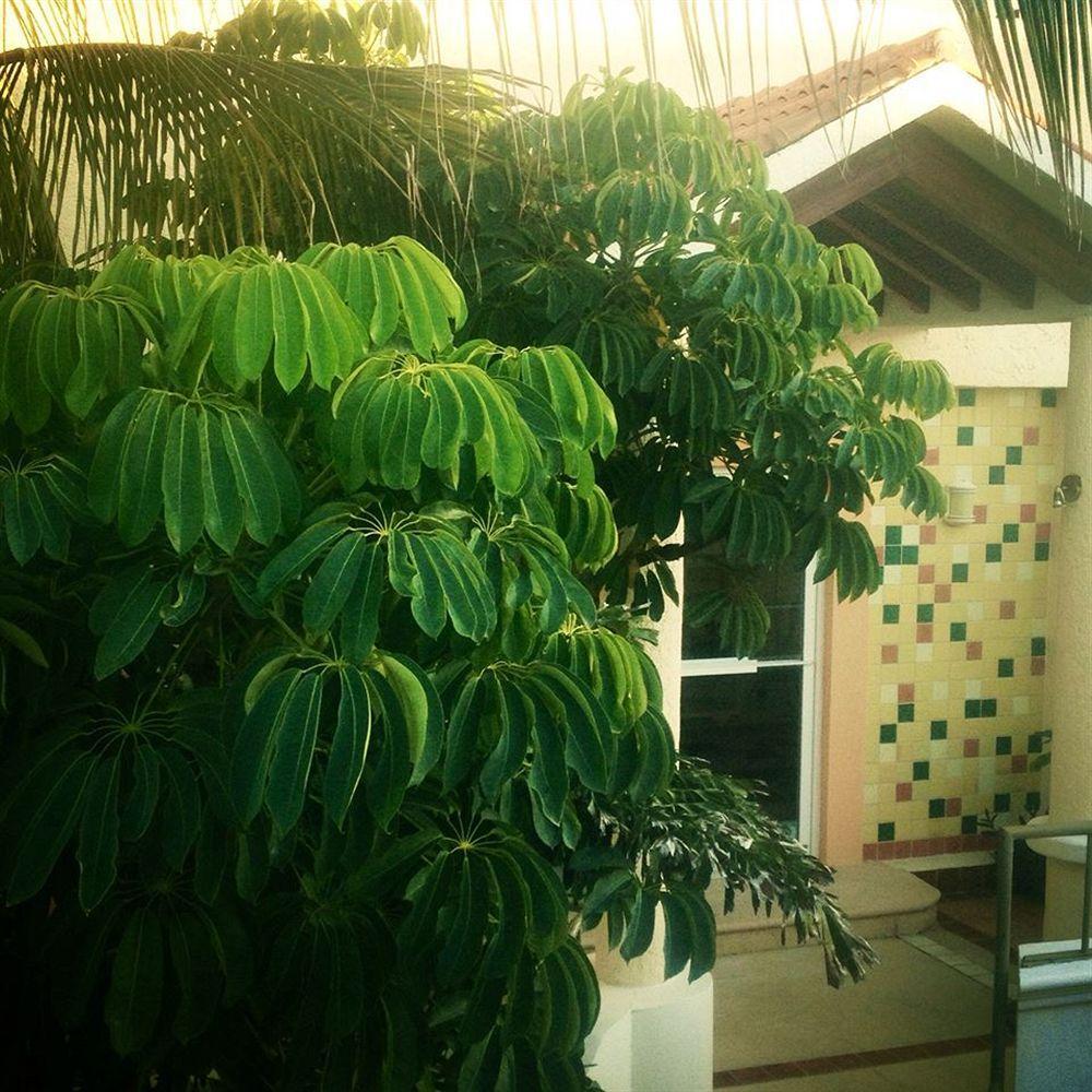 Marisol Boutique Hotel 3*